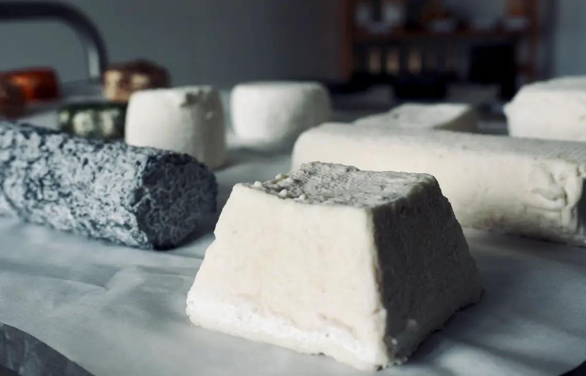 Producteur Formage Chèvres Charente | Chèvres de Sireuil.