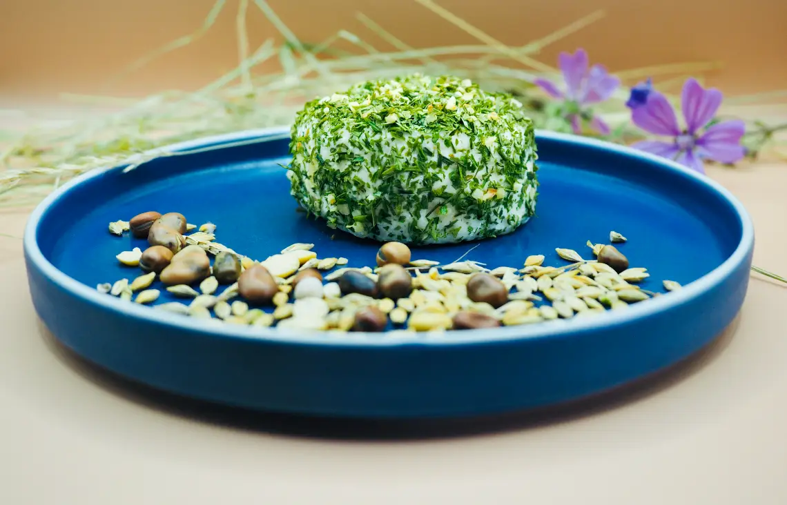 Producteur Formage Chèvres Charente | Chèvres de Sireuil.