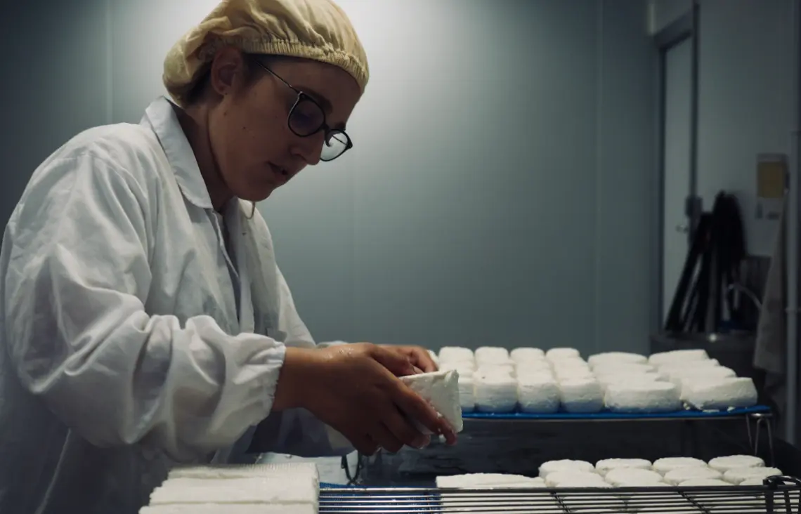 Producteur Formage Chèvres Charente | Chèvres de Sireuil.